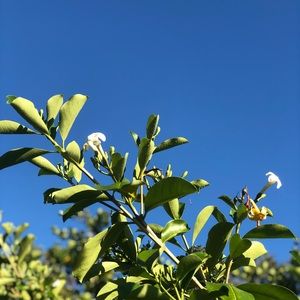 Meet your Posher, Christin